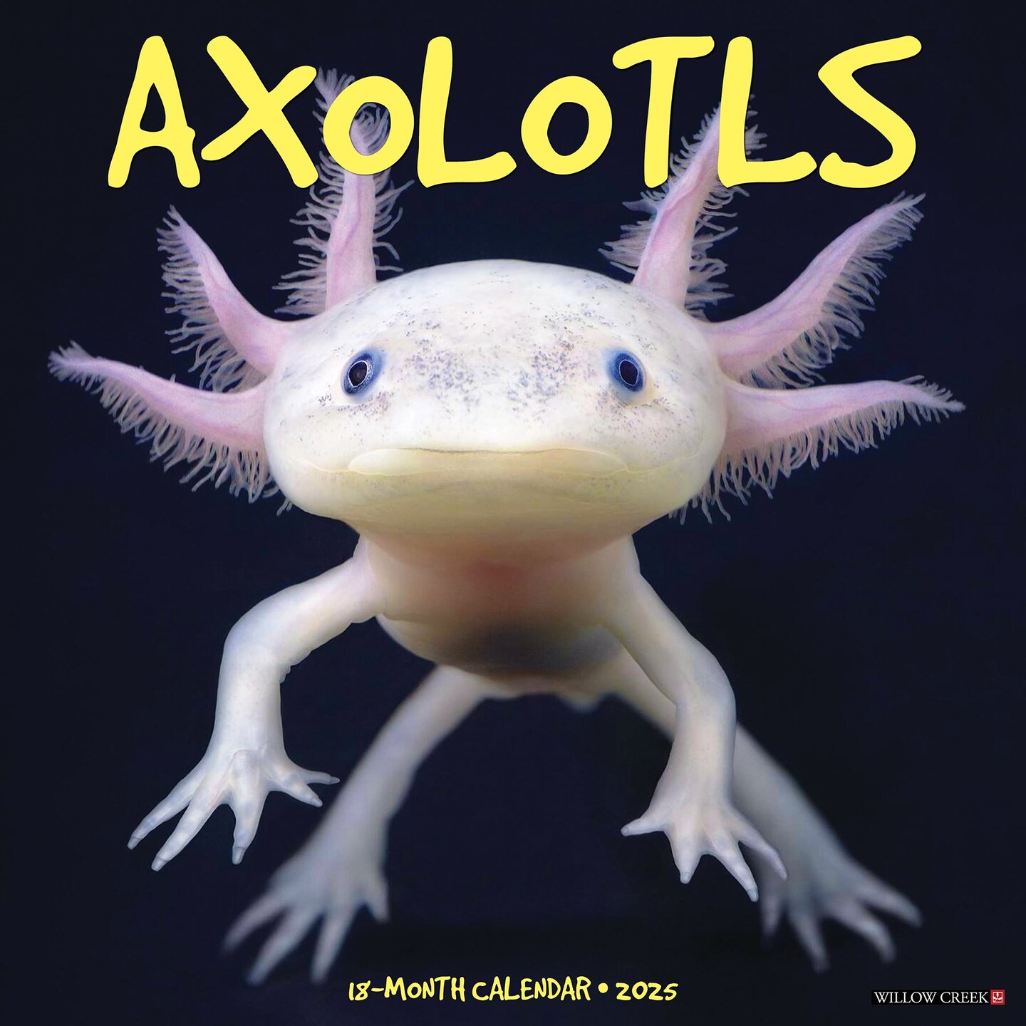 Axolotls 2025 Wall Calendar