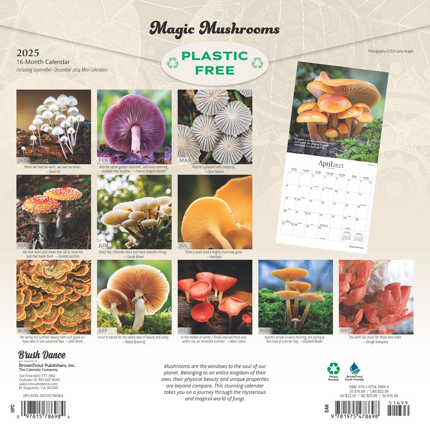 Magic Mushrooms | 2025 12 x 24 Inch Monthly Square Wall Calendar | Plastic-Free | Brush Dance | Fungus Fungi Microorganism