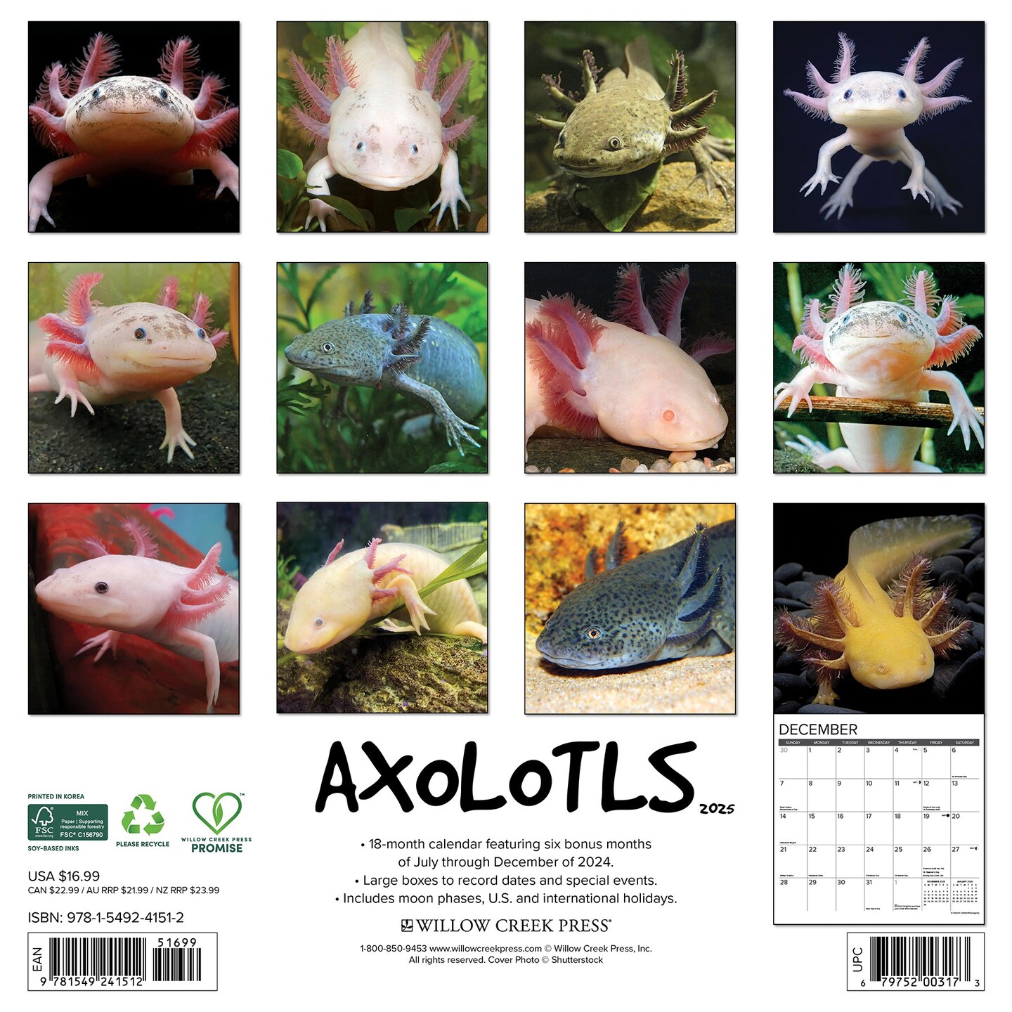 Axolotls 2025 Wall Calendar