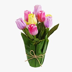 purple, pink and yellow tulips