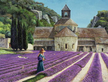 Riproduzione Lavender Picker, Abbaye Senanque, Provence