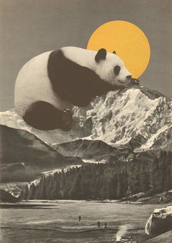 Bildreproduktion Panda's Nap into Mountains