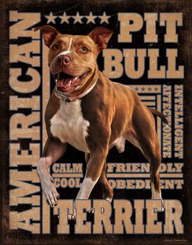 Targa in metallo American Pitbull