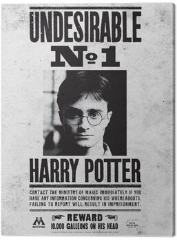 Quadro su tela Harry Potter - Undesirable No.1