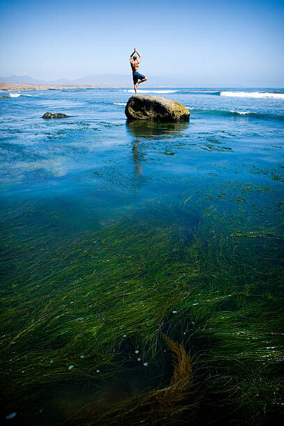 Fotografia Tree Pose