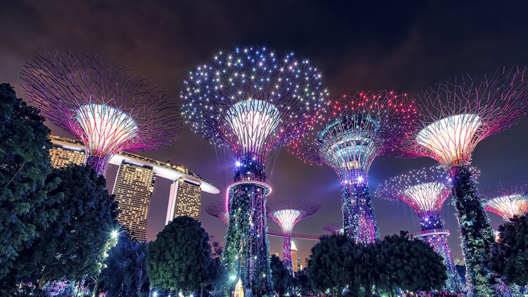 Kunstfoto Gardens By The Bay