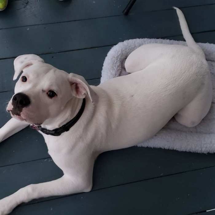 This is Ghost, and she loves spending time with her grandma