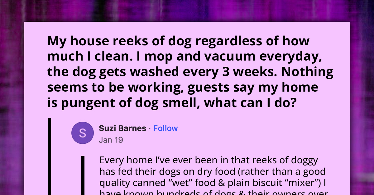 Dog Owners Trade Tried And Tested Cleaning Hacks That Could Minimize Pet's Distinctive Scent And Lessen Complaints From Guests