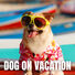 The Pluto Dog on Vacation