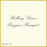 The Rolling Stones Beggars Banquet