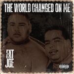 Fat Joe The World Changed On Me