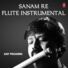 Mithoon Sanam Re - Flute Instrumental