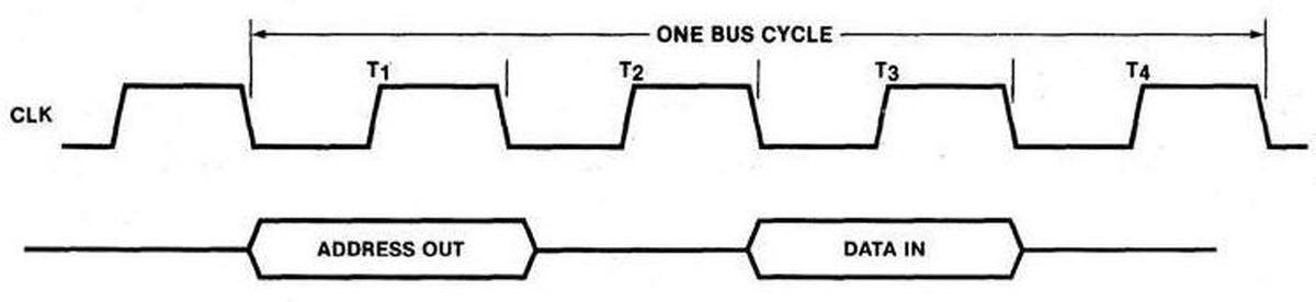 A typical read bus cycle consists of four T states. Based on The 8086 Family Users Manual, B-16.