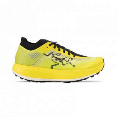 running shoe Arc Teryx Sylan Pro