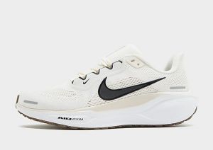 Nike Pegasus 41 Women's