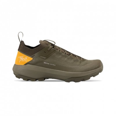 running shoe Arc Teryx Vertex Alpine GTX