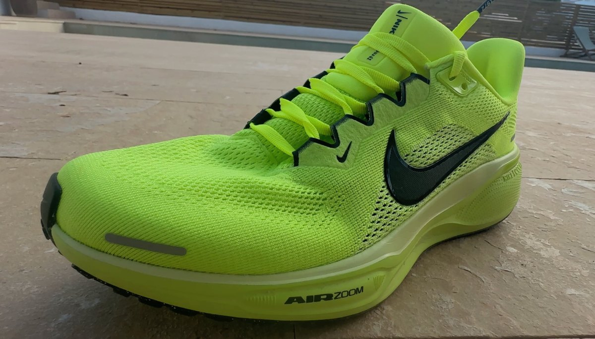 Nike pegasus 41 review