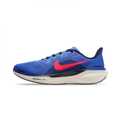 Nike Pegasus 41