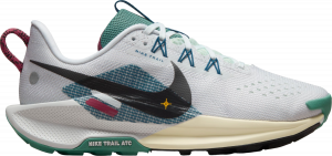 Scarpe per sentieri Nike Pegasus Trail 5