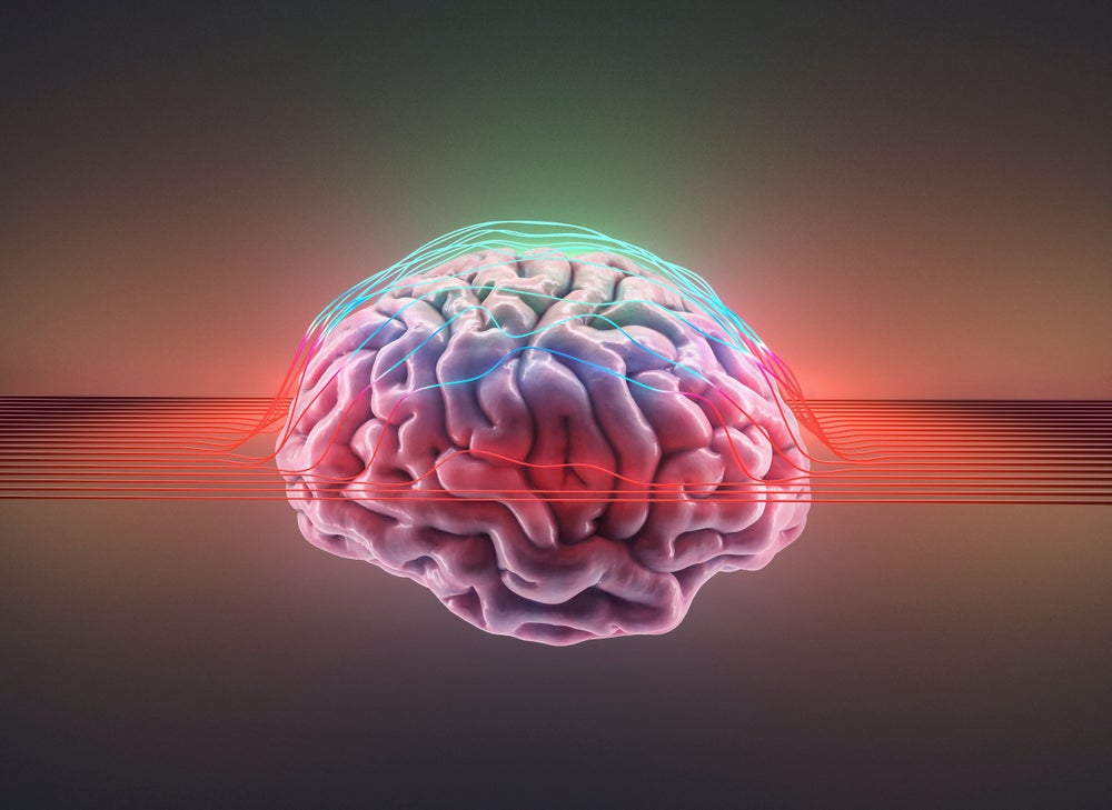 This Year's Most Thought-Provoking Brain Discoveries | Scientific American