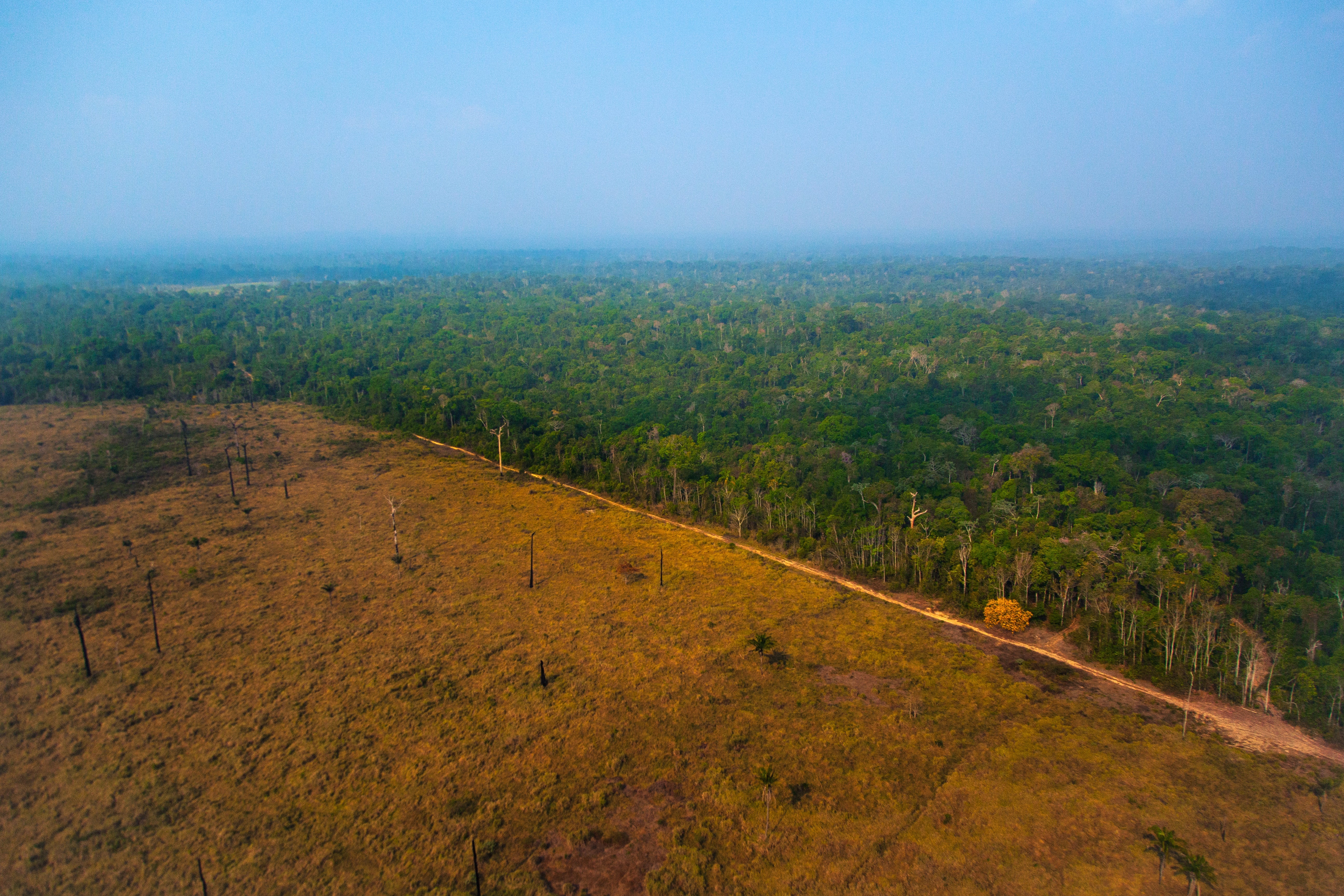 Amazon Deforestation Falls Where Land Is Under Indigenous Control Scientific American