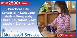 Shop Montessori Services