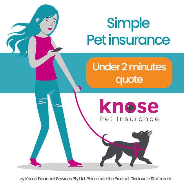 Simple Pet Insurance! Under 2 Minutes Quote!