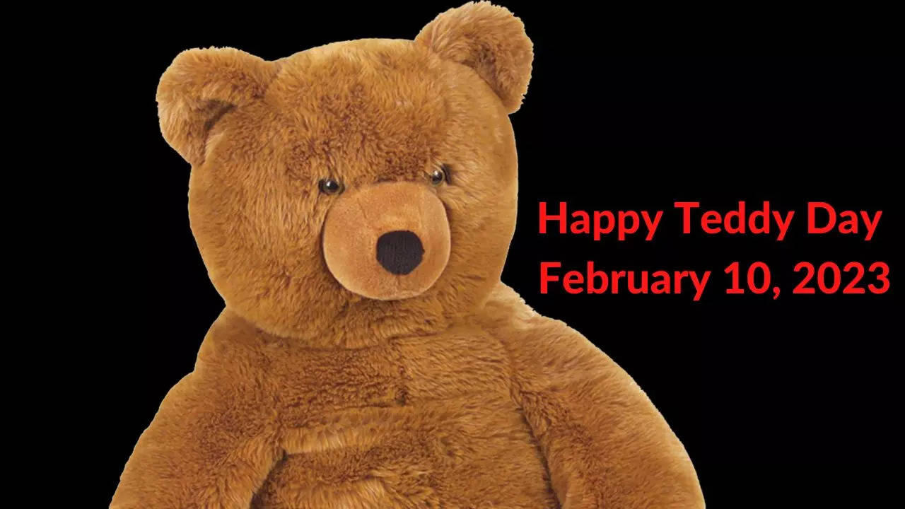 Happy Teddy Day 2023: Wishes, images, messages and quotes for ...