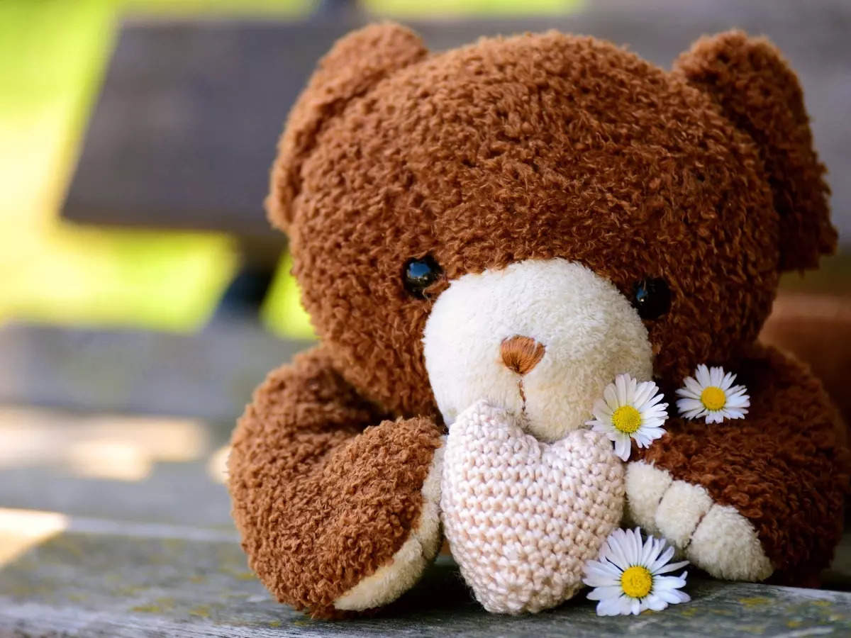 Incredible Compilation of Full 4K Teddy Images: Over 999+ Captivating Teddy Photos