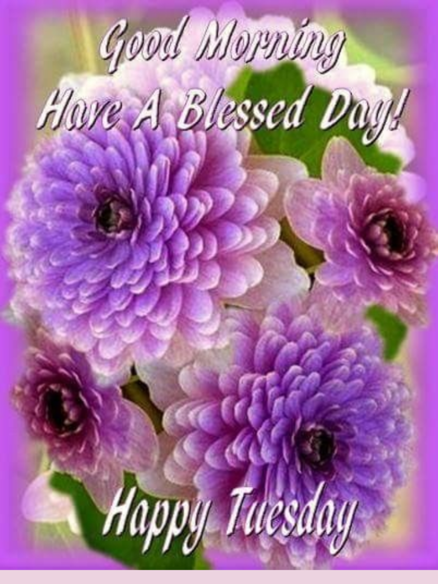 7 Happy Tuesday Greetings, Quotes & Good Morning Images With Flowers ...