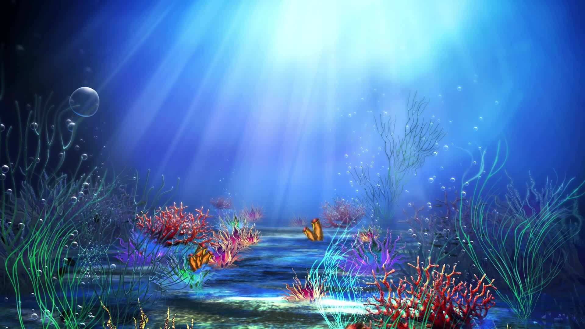 Under the Sea - Free HD Video Clips & Stock Video Footage at Videezy!