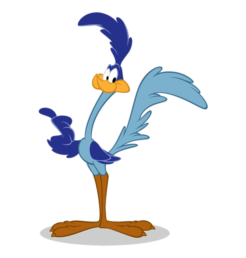 Baby Looney Tunes Roadrunner