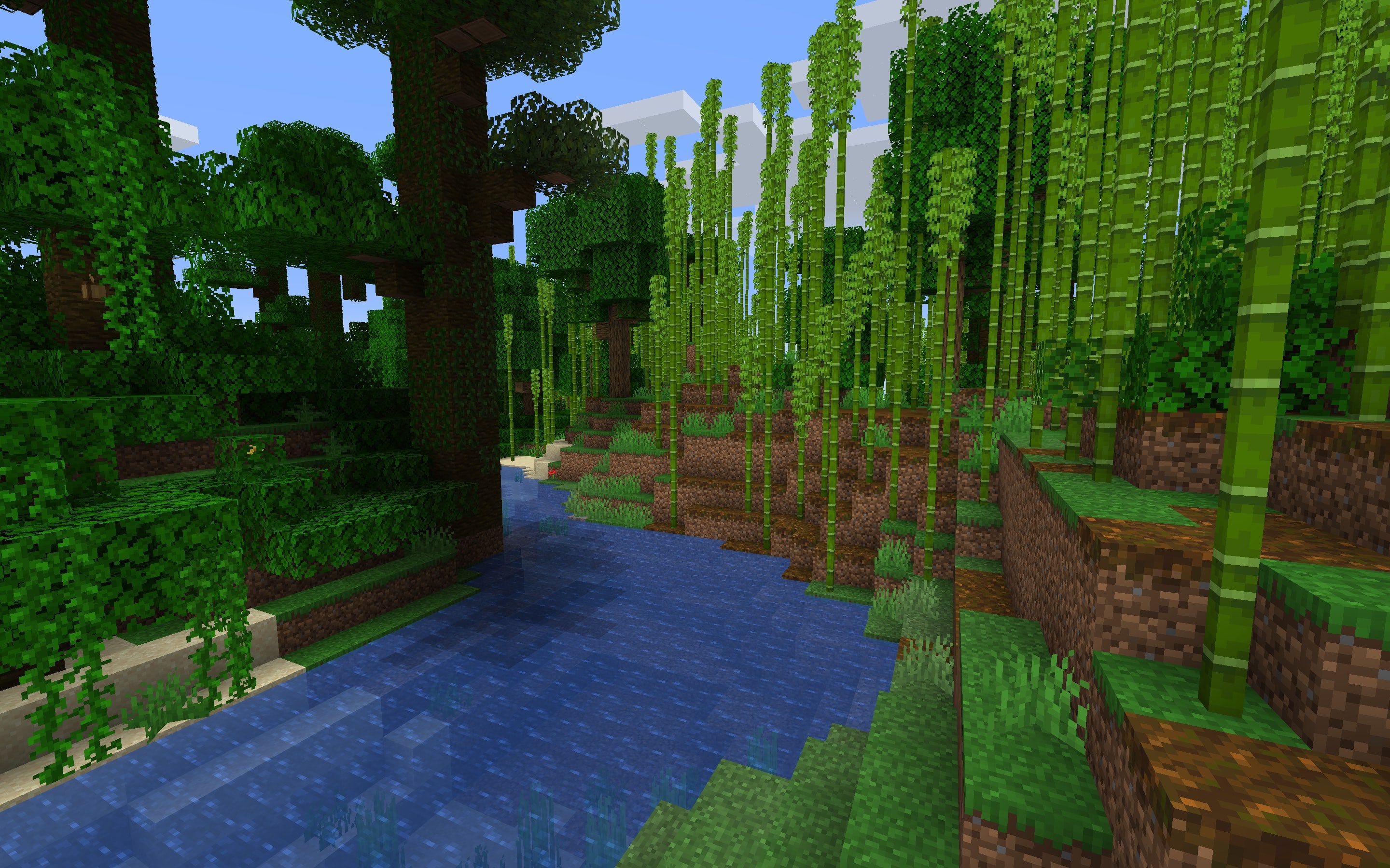 Jungle Biome Minecraft