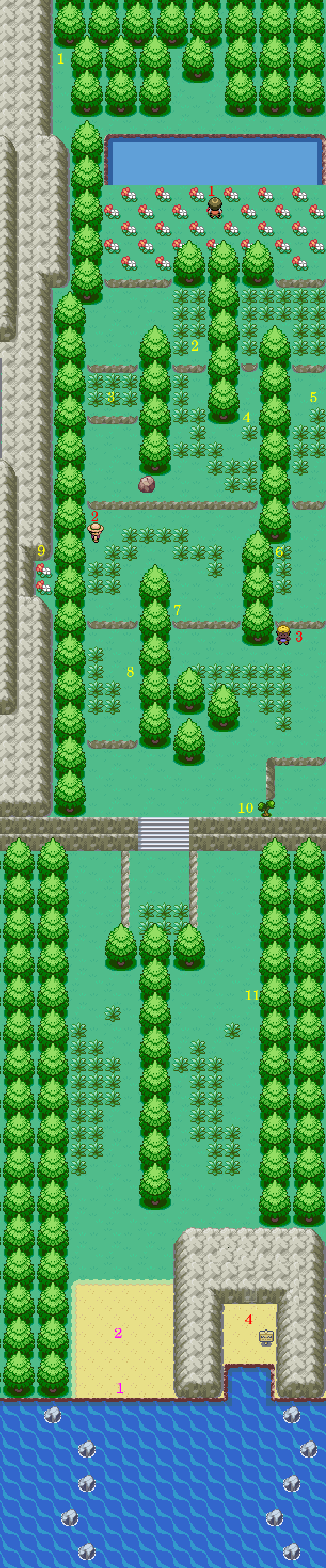 Route 15 | Pokémon Sunday Wiki | Fandom