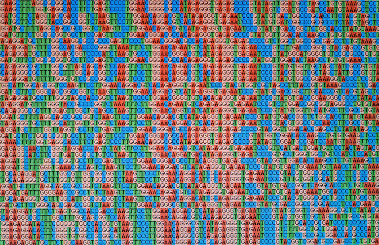 Full human genome sequence