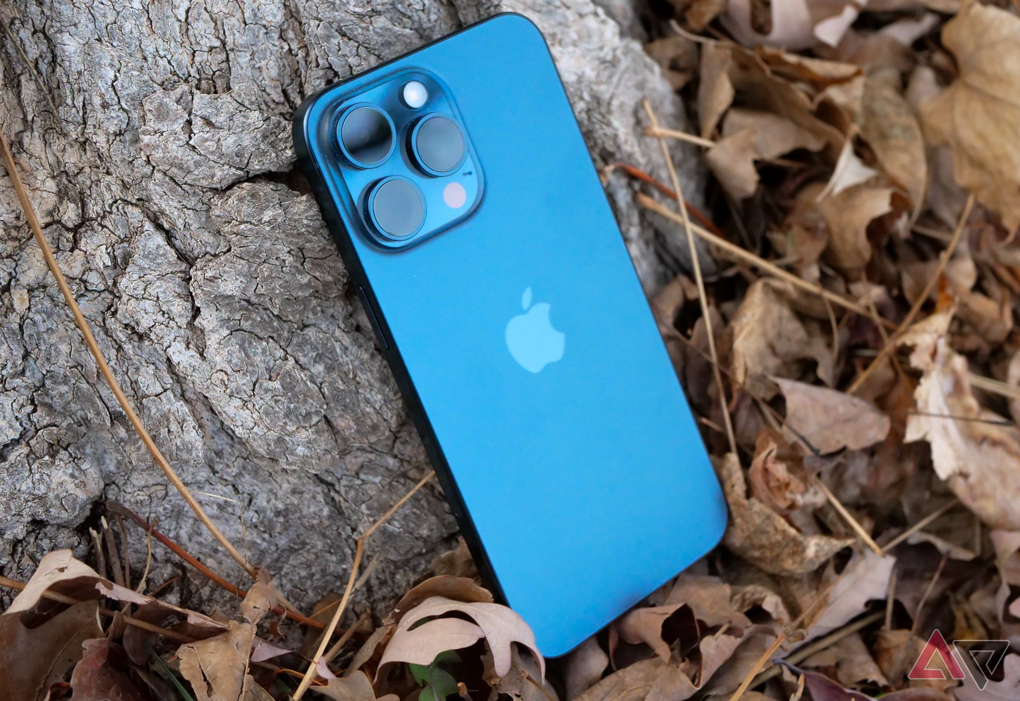 IPhone 15 Pro Max Review: The Phone Everyone Else Is, 02/28/2024