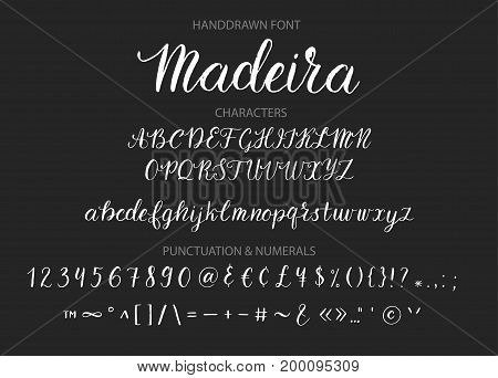 Handwritten Script font. Hand drawn brush style modern calligraphy cursive typeface. Hand Lettering and Custom Typography alphabet for Designs Logo, Greeting Cards, Poster. Vector Brush type set.