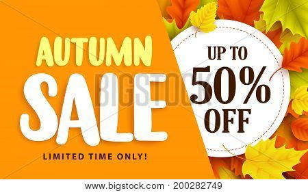 Autumn sale banner design with discount label in colorful autumn leaves background for fall season shopping promotion. Vector illustration.