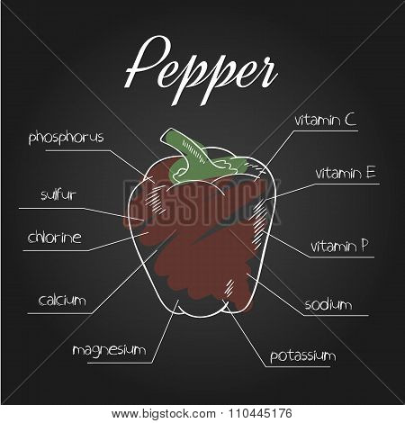 Vector Illustration Of Nutrient List For Pepper