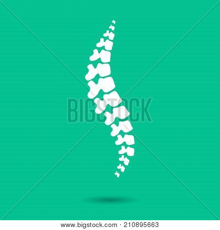 Human spine isolated on a green background. Vector illustration. White  silhouette spine diagnostic symbol, design, sign. Diagnostic center vector human spine silhouettes Spine. Logo element.