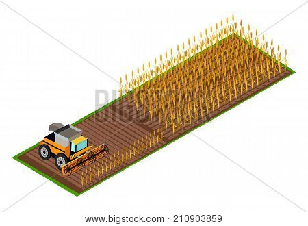 Contemporary grain combine harvester gathering wheat on field isometric vector illustration. Seasonal harvesting time template poster