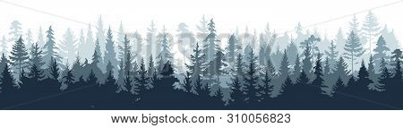 Pine Forest. Silhouette Wood Tree Background, Wild Nature Woodland Landscape. Vector Image Foggy Tal