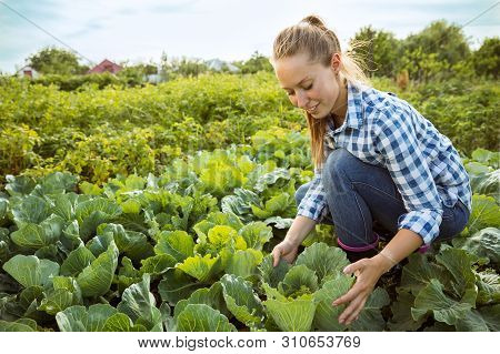 Young Farmer Working At Her Garden In Sunny Day. Woman Engaged In The Cultivation Of Eco Friendly Pr