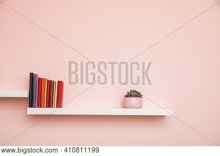 Simple white shelves on pale pink colored wall with books and succulent in pink pot. No titles shown on books