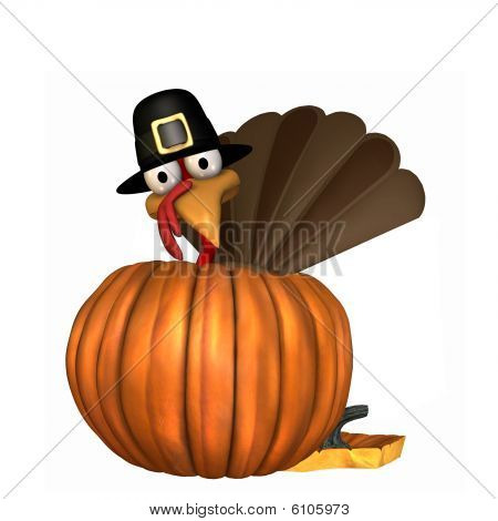 Toon Thanksgiving Turkey In Pumpkin