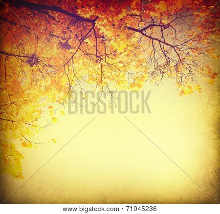 Autumn background. Fall Abstract vintage autumnal border background with colorful leaves