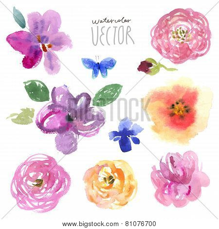 Watercolor painting floral background, vector file