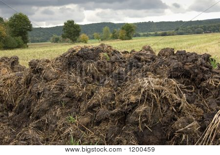 Manure Heap