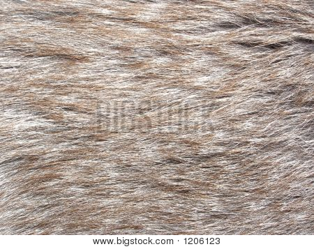 Fur