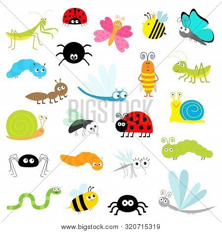 Insect Icon Set. Mantis Lady Bug Mosquito Butterfly Bee Grasshopper Beetle Caterpillar Spider Cockro